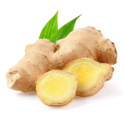 Kaempferia galanga, commonly known as Sand Ginger, Aromatic Ginger, or Kencur, belongs to the esteemed Zingiberaceae family