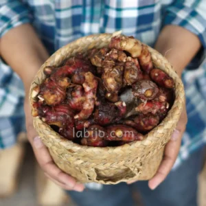 Red Ginger