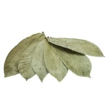 Dried soursop leaves