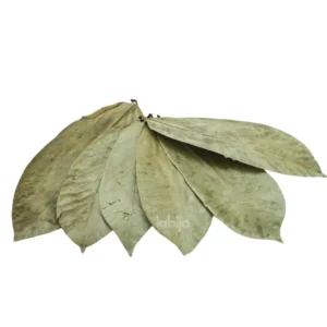 Dried soursop leaves
