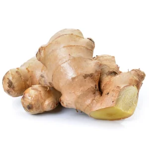 Elephant Ginger