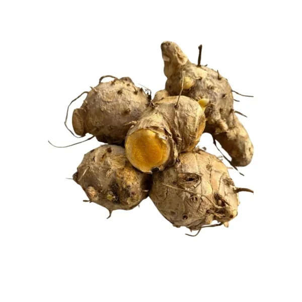 Fresh Javanese Turmeric Root