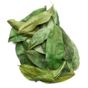 Soursop leaves