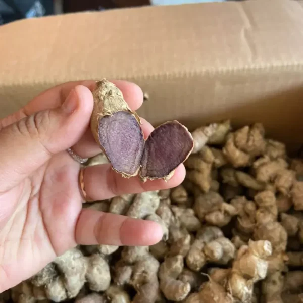 Fresh Black Ginger